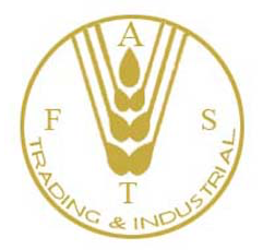 Fast Group - logo